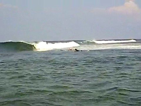 Surf Fiji - Wipeout at Rydges Hideway Resort Coral Coast