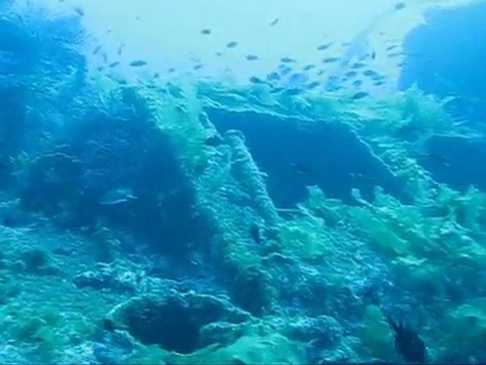 Aqualonde Plongée Le Donator 2009