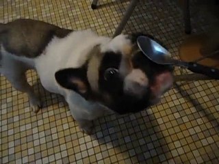 Miam, c est bon la crème vanille
