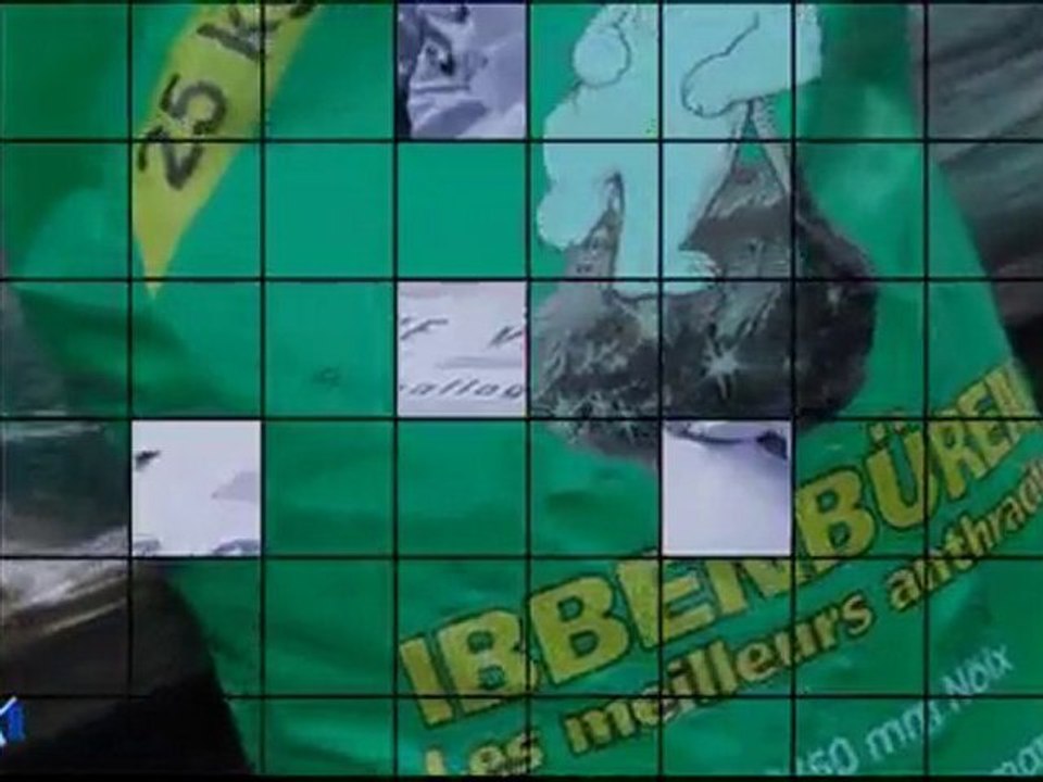 Film professionnel TARTAVEL COMBUSTIBLES, St Fons (69), Energie - Distribution d'énergie