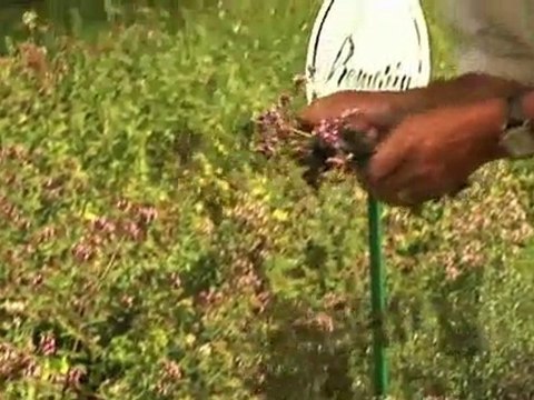 Les Forges du Pont d'Oye :Restaurant Hôtel à Habay-la-Neuve