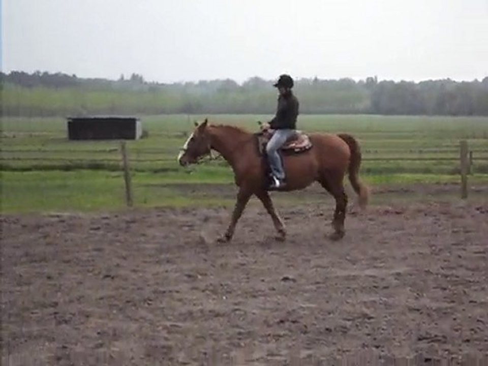 Pierrot au trot sur Hypo