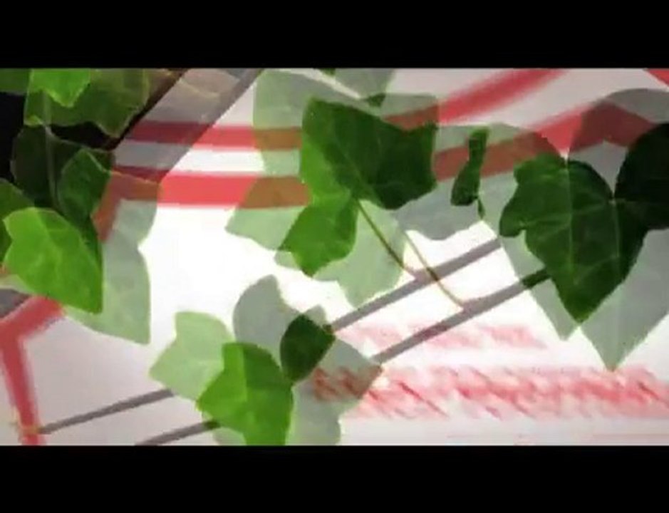 Running Wilde Trailer