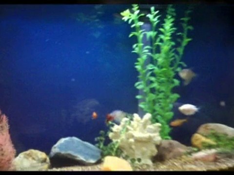 Dr. Schadow- chiropractor in Coon Rapids MN.