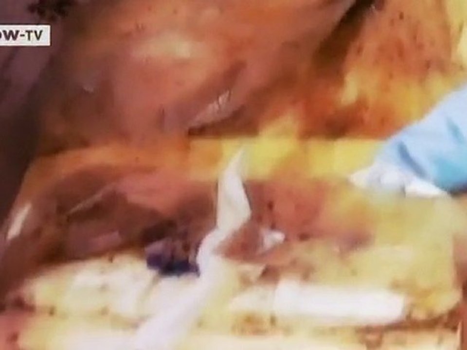 Drug Couriers in the Caribbean | Global 3000