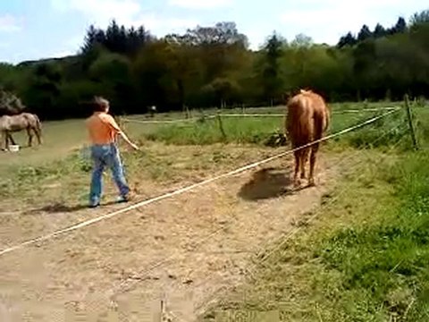 Kaline en liberté 17 mai 2010