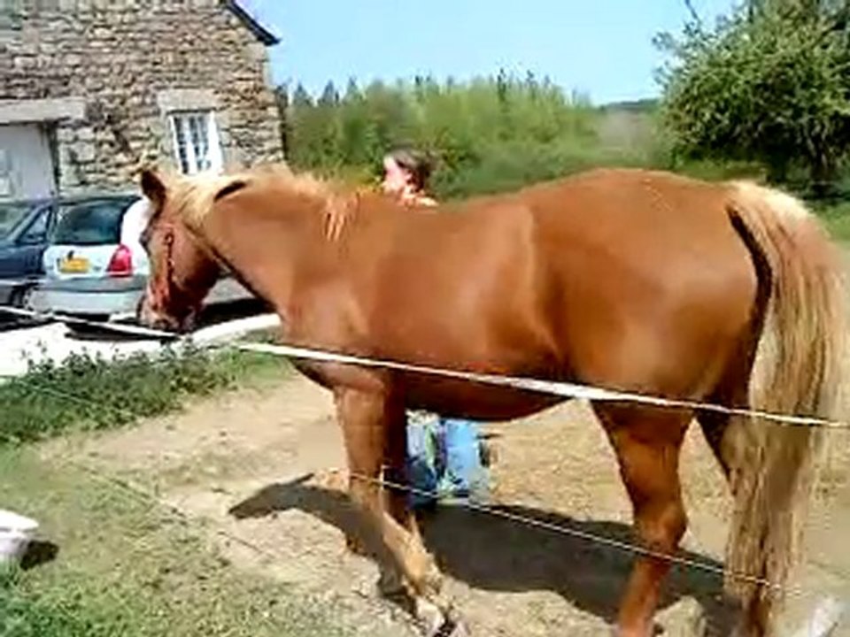 Kaline en liberté 17 mai 2010 bis