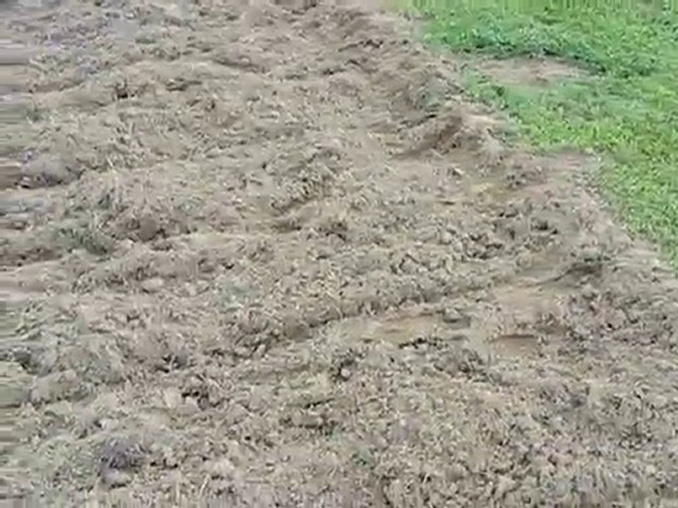 Garden Ready to Do