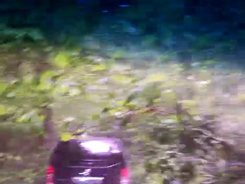 sortie nissan pathfinder dieppe 2010