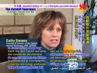 The Catskill Animal Sanctuary: A Green Haven for All - P1/2