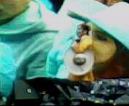 Nadia - El viajero - Vive Grupero 2010