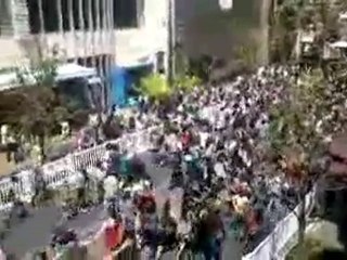 The Jonas Brothers Hit The Grove