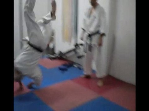 SOKE GRANDMASTER KENAN AYDIN