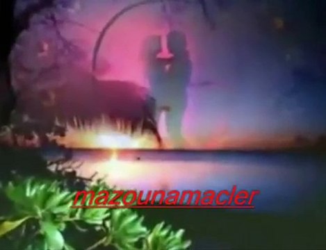 ๑۩۞۩๑d๑۩۞۩๑Cheb hasni....nkhamem toujours fik๑۩۞۩๑h๑۩۞۩๑.