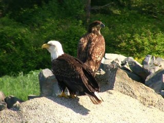 Hiking in Sitka Alaska