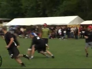 Championnats de France d'Ultimate à Fontenay