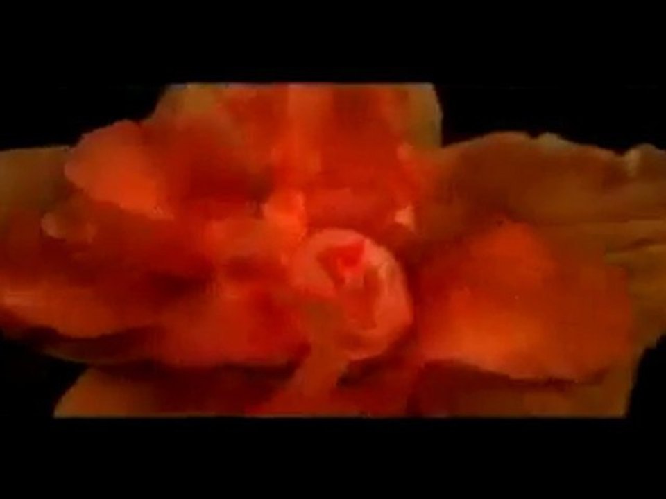 Calvin Klein - Euphoria Commercial - By Mallxyz.com Discount