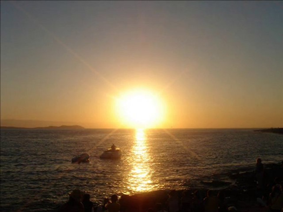 David Alvarado-Sol