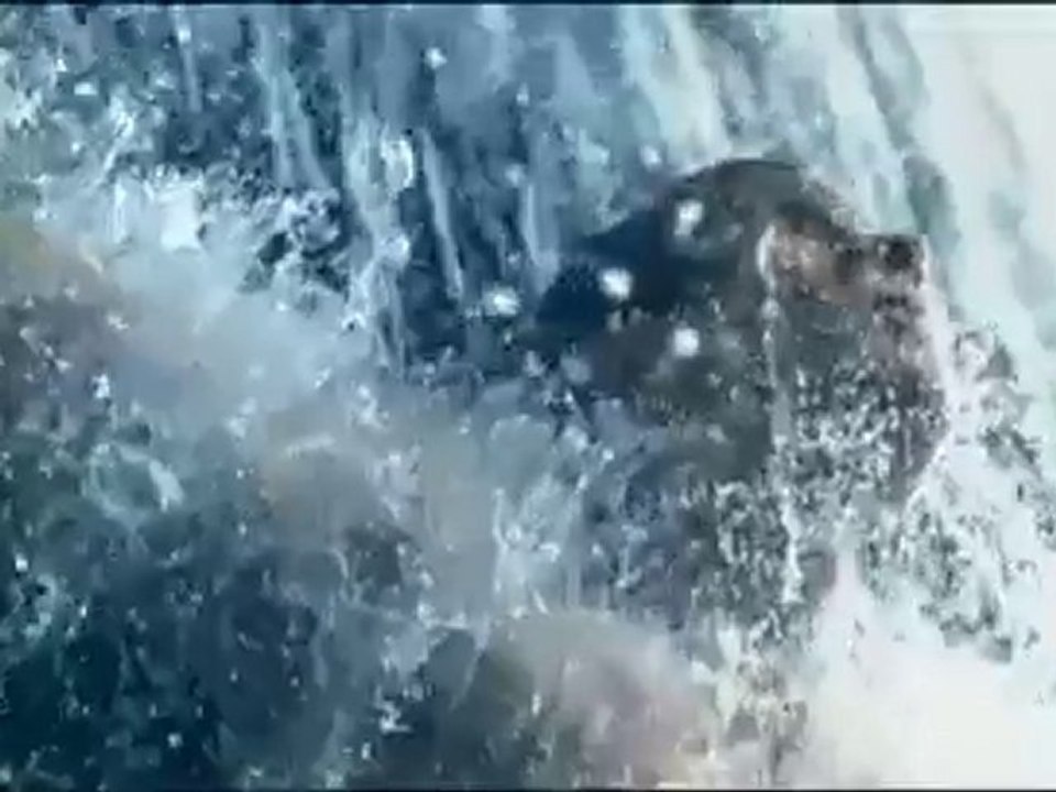 Boss Pur - Hugo Boss  - By Mallxyz.com Discount Perfume Chea