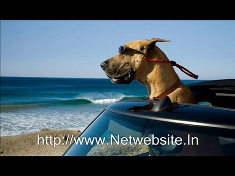 Marmaduke
