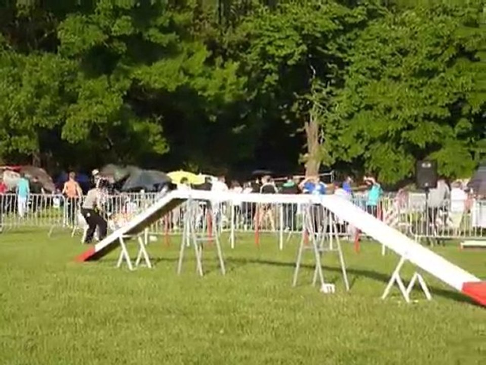 TGR Miramas - Aster - 2eme jour Agility