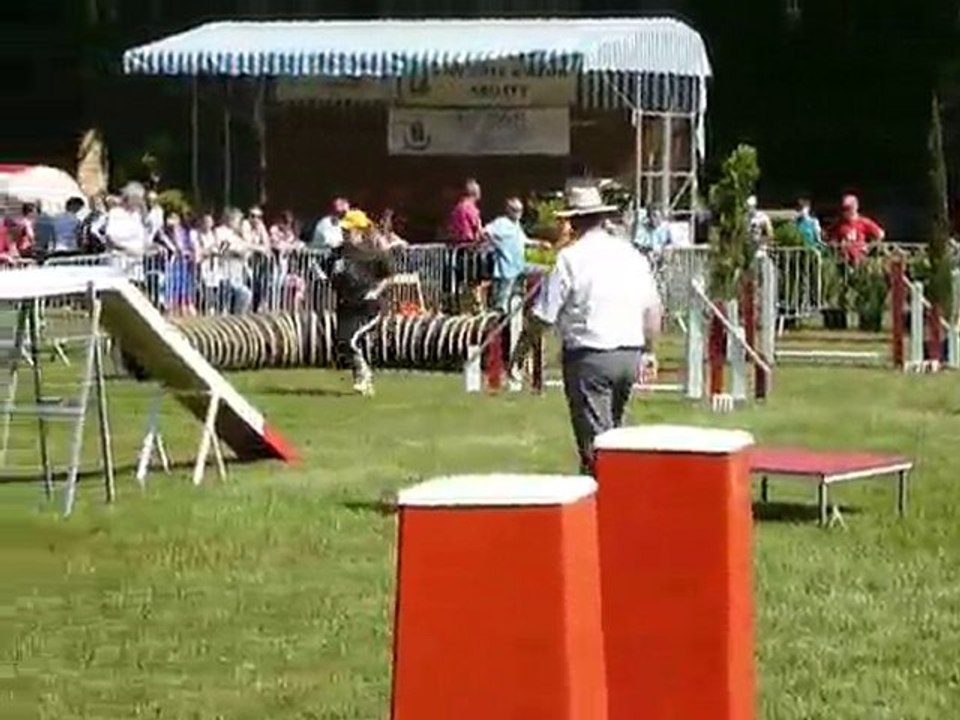 TGR Miramas - Bambou - 1er jour Agility