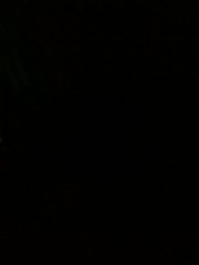 Hélène & Les Garçons ! Est-ce que ce Monde est sérieux ?