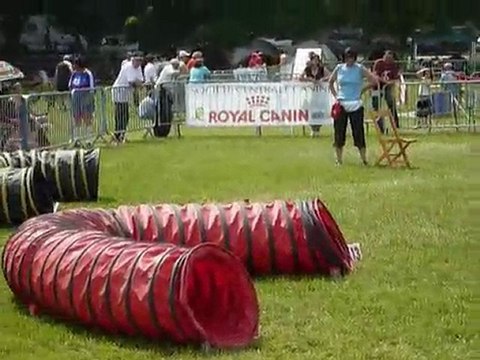 TGR Miramas - Bambou - 2eme jour Jumping