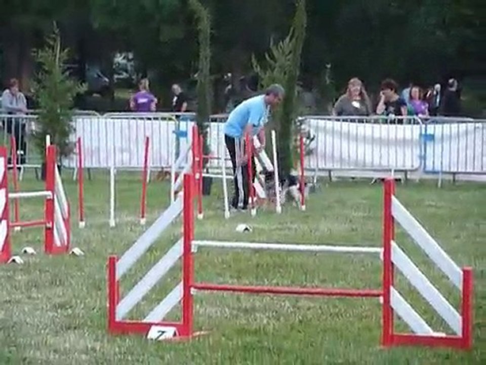 TGR Miramas - Brownie - 1er jour Jumping