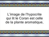 Les bienfaits du Coran