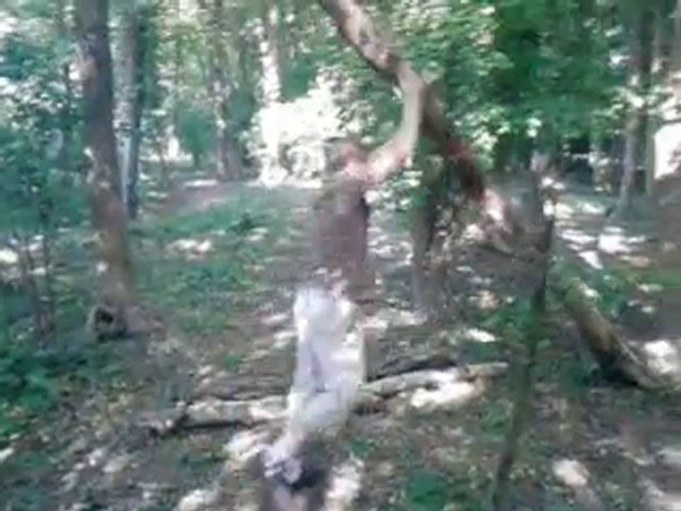 moi et nounours entrain de porter un tronc mdr