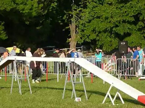 TGR Miramas - Daisy - 2eme jour Agility