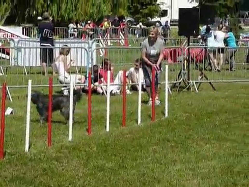 TGR Miramas - Defi - 1er jour Agility