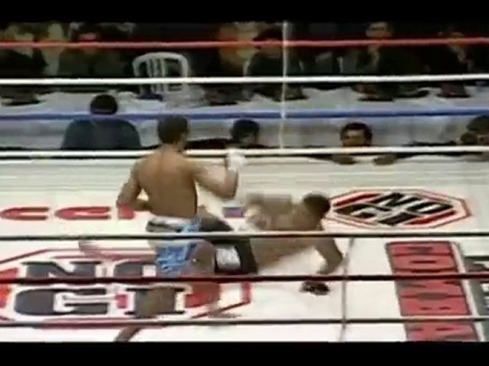 MUAY THAI IN MMA