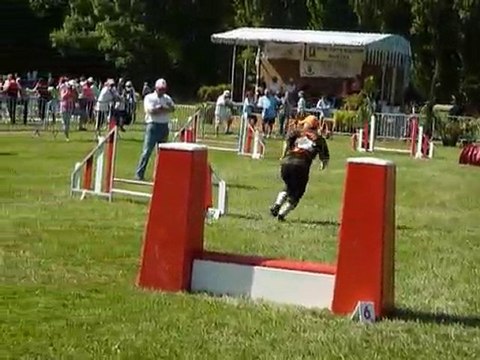 TGR Miramas - Silver - 1er jour Jumping