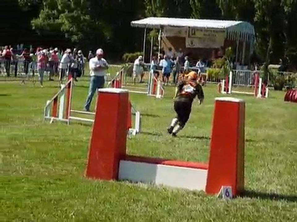 TGR Miramas - Silver - 1er jour Jumping