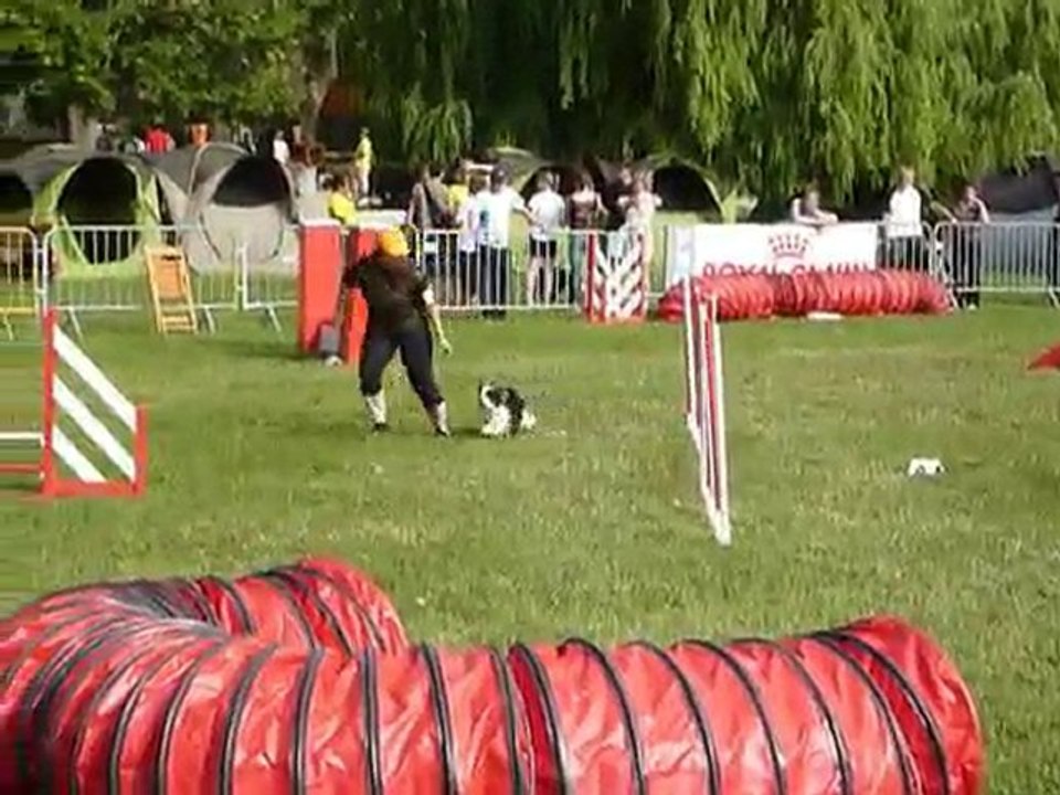 TGR Miramas - Silver - 2eme jour Agility