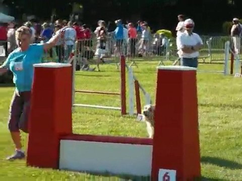 TGR Miramas - Taz - 1er jour Jumping