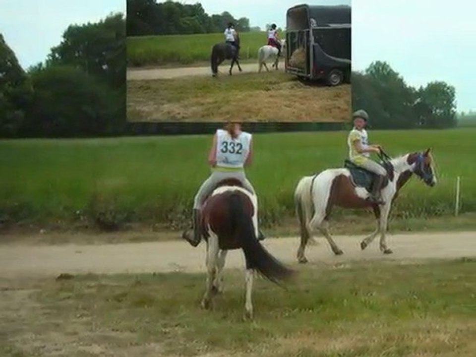 chevaux gourin