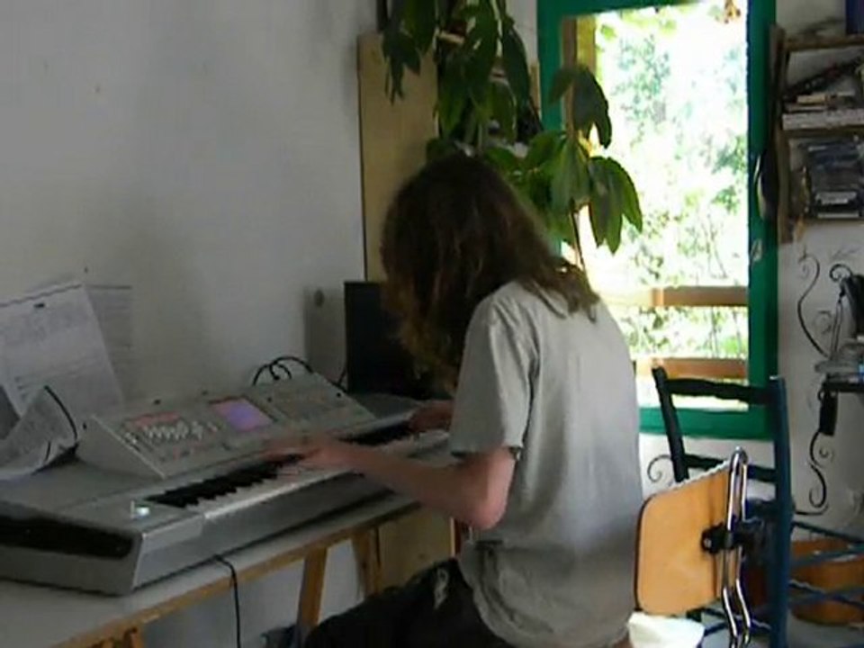 pirate des caraibes main theme cover