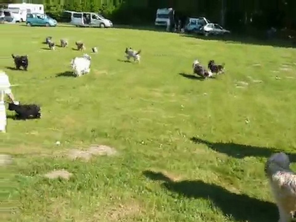 Détente pour les loulous
