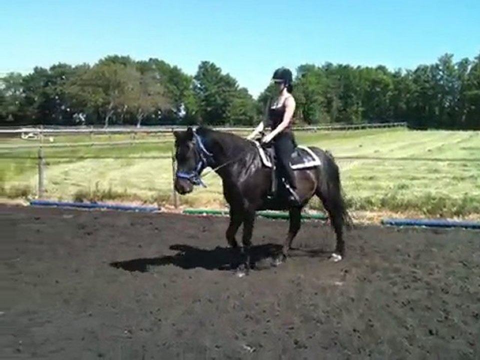 Wild Pimousse, Mai 2010