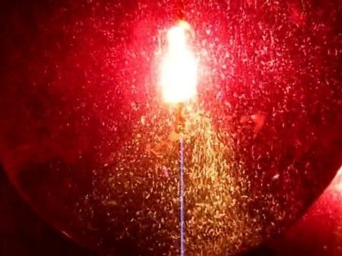 Luminaires & Déco Elephant Club Nantes by Aquabassimo