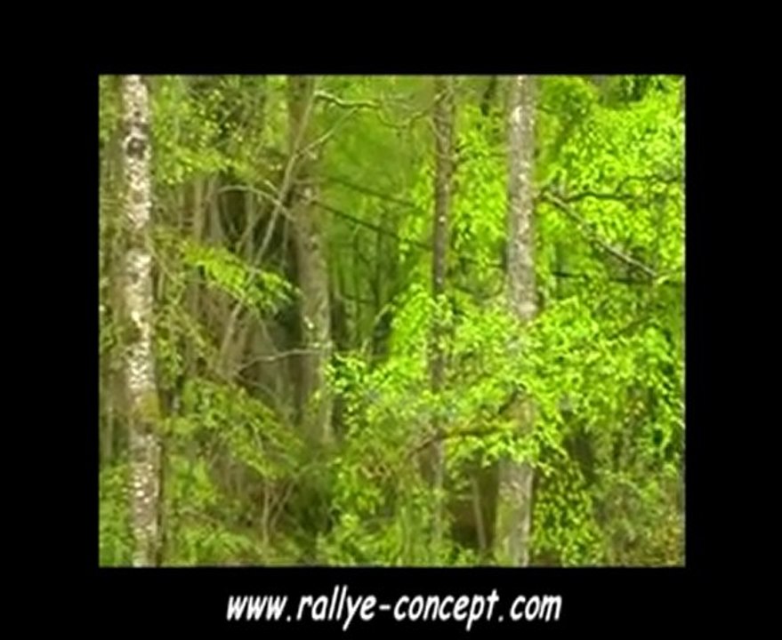 Rallye du Val D'agout clio williams n42