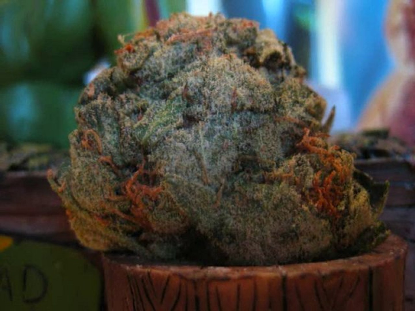 Cannabis