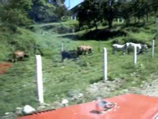 Costa Rica Coffee Video Travels - Coffee Buying Trip