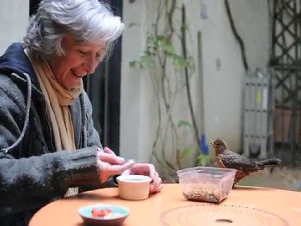 Sophie et le petit merle... Comment il apparaît.