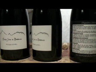 Les vins de Philippe Gimel