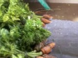 comment prepare des carottes