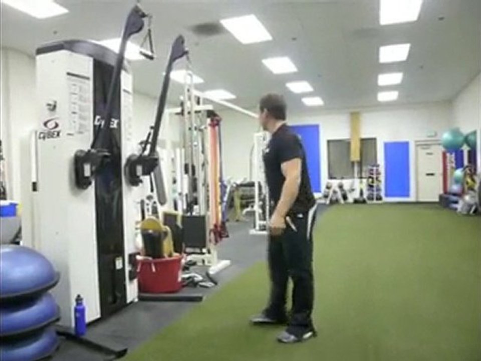 Pallof Press Exercise - New Lateral Pallof Presses